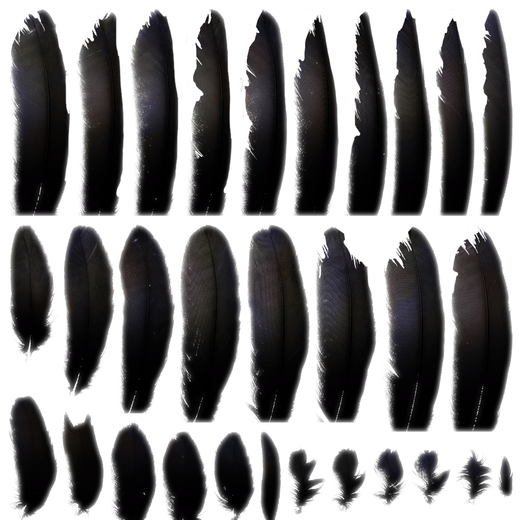 c3510_2 (2).png